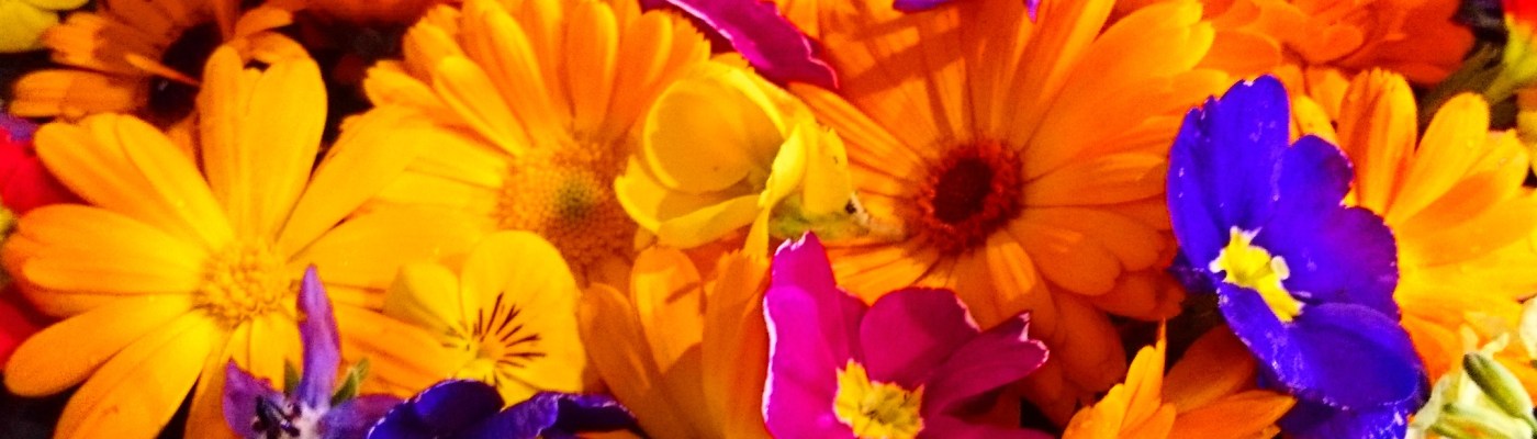 Eve's Leaves Irish Edible Flowers