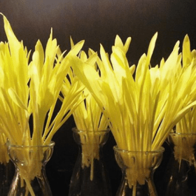 Eve's Leaves Irish Popcorn shoots